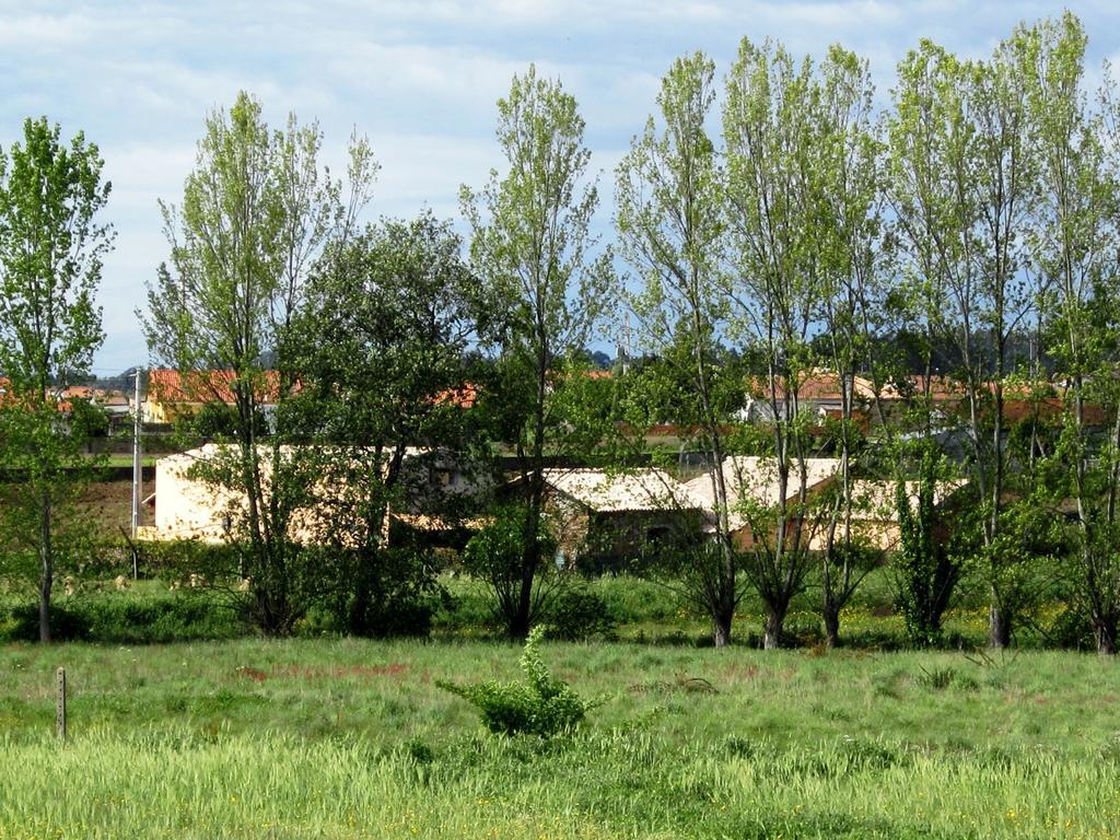 Pensjonat Casa Do Moinho Ovar Zewnętrze zdjęcie